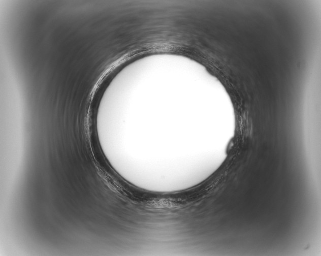 X0000103420244200810031336