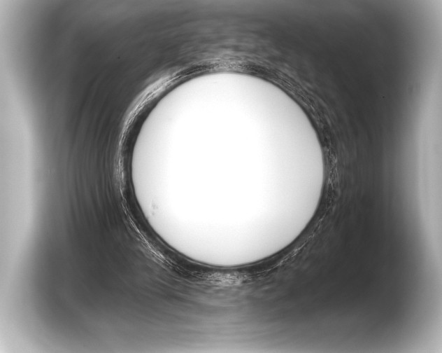 X0000103420245200810031336