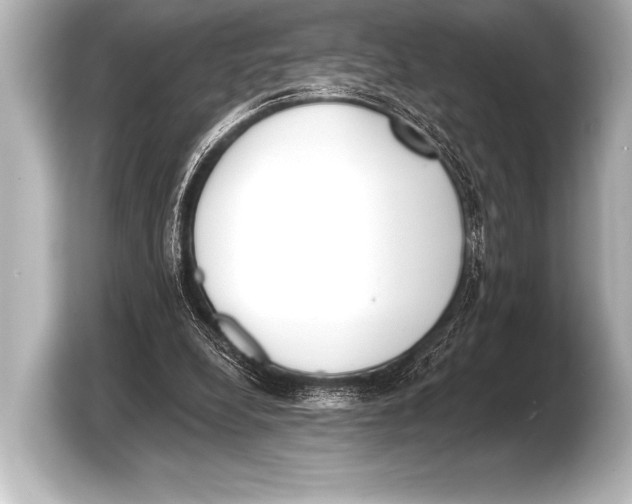 X0000103420248200810031336