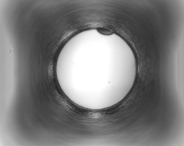 X0000103420249200810031336