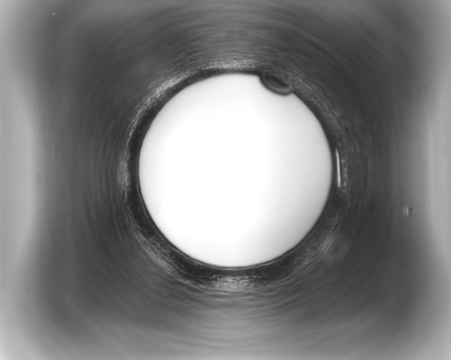X0000103420252200810031336