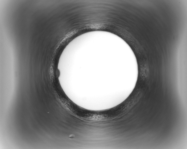 X0000103420256200810031336