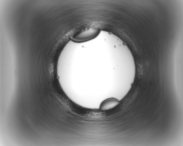 X0000103420260200810031336