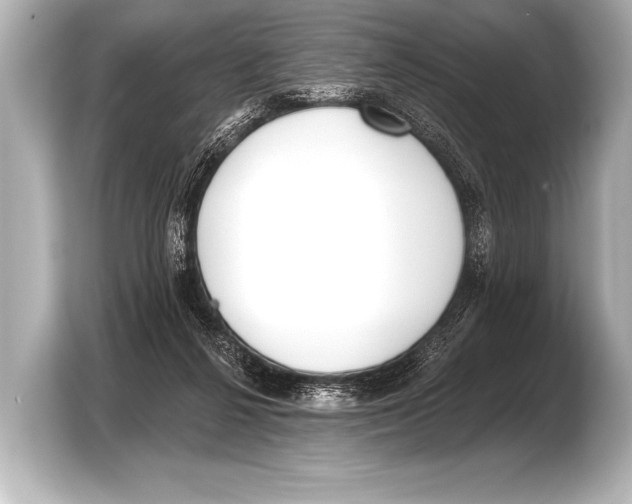 X0000103420264200810031337