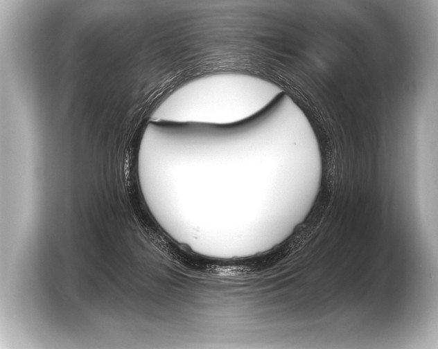 X0000103420268200810031337