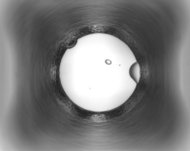 X0000103420271200810031337
