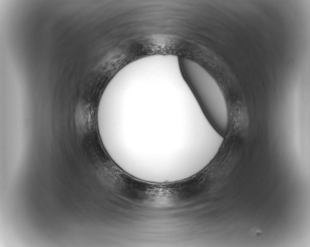 X0000103420276200810031337