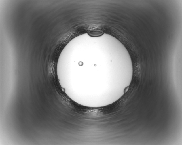 X0000103420280200810031337