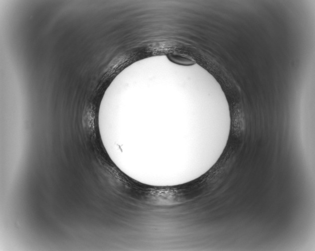 X0000103420282200810031337