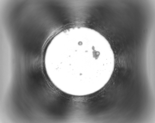 X0000103420293200810031336