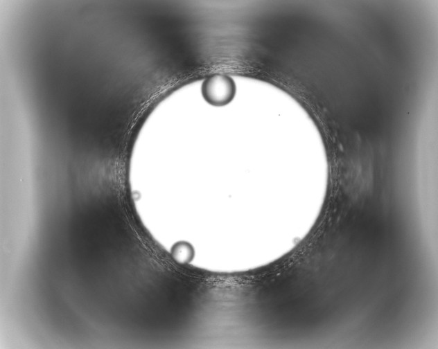 X0000103420297200810031336