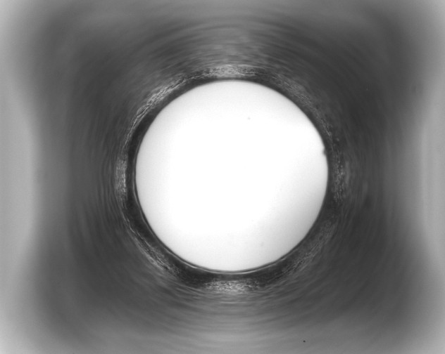 X0000103420299200810031336