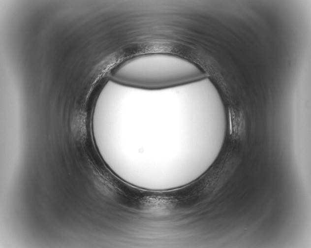 X0000103420300200810031336