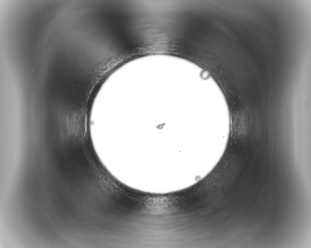 X0000103420301200810031336