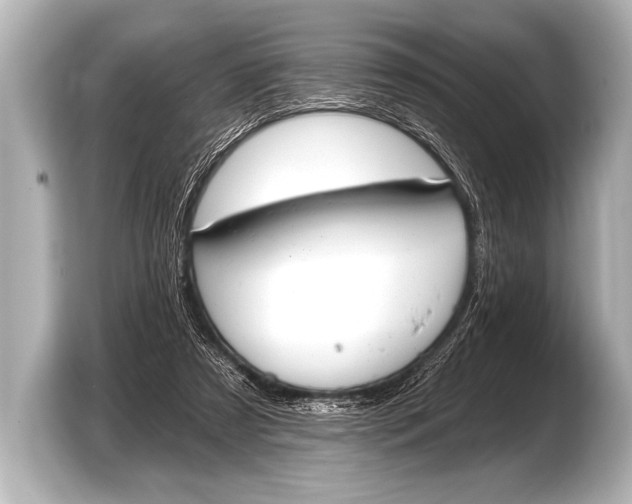 X0000103420305200810031336