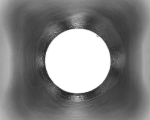X0000103420317200810031336