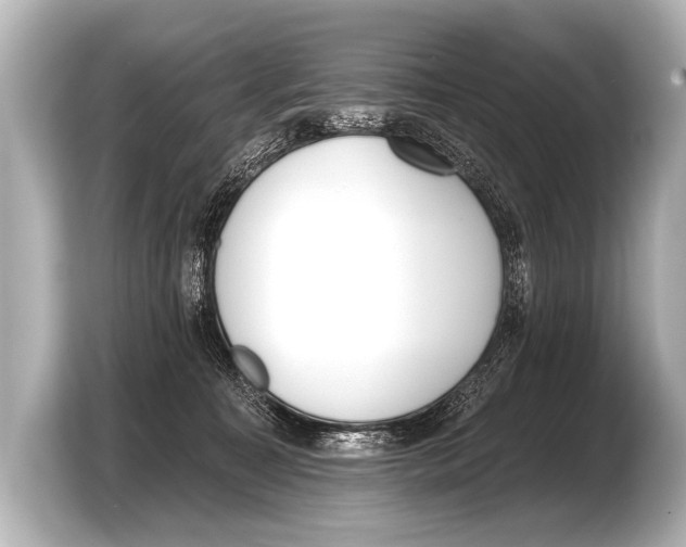 X0000103420323200810031336