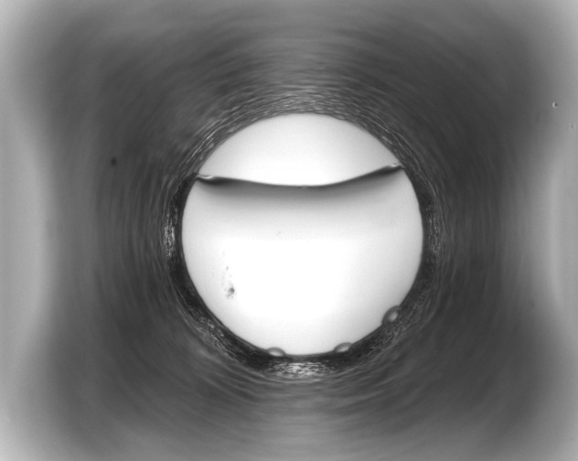 X0000103420324200810031336