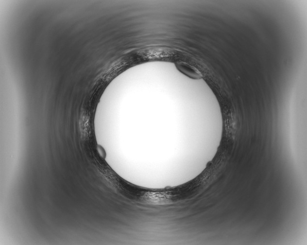X0000103420327200810031336