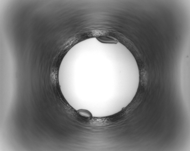 X0000103420329200810031336