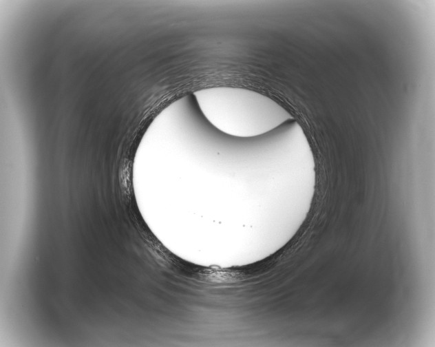 X0000103420336200810031336
