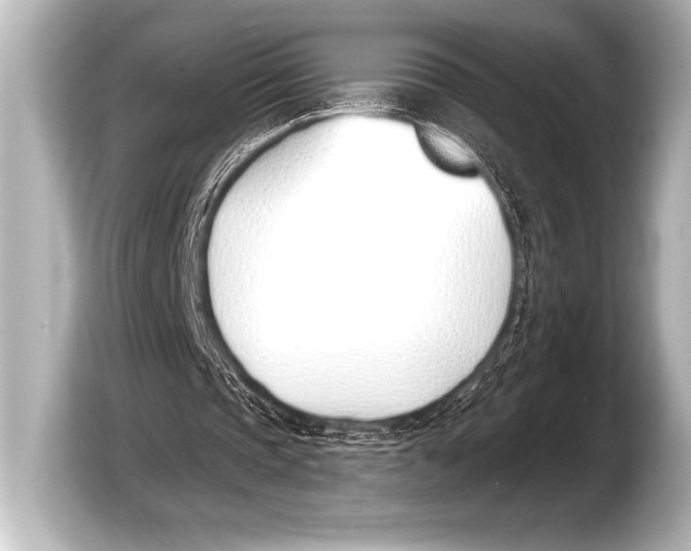 X0000103420337200810031335