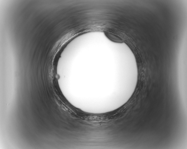 X0000103420338200810031335