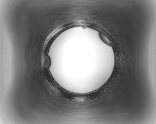 X0000103420344200810031335