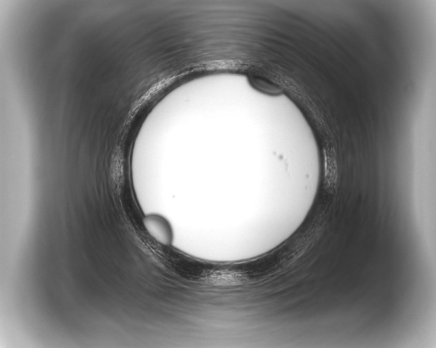 X0000103420348200810031335
