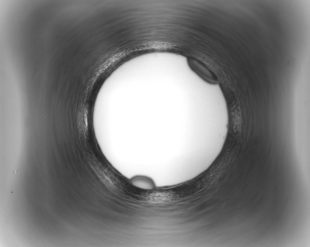 X0000103420350200810031335