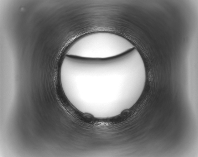 X0000103420352200810031335