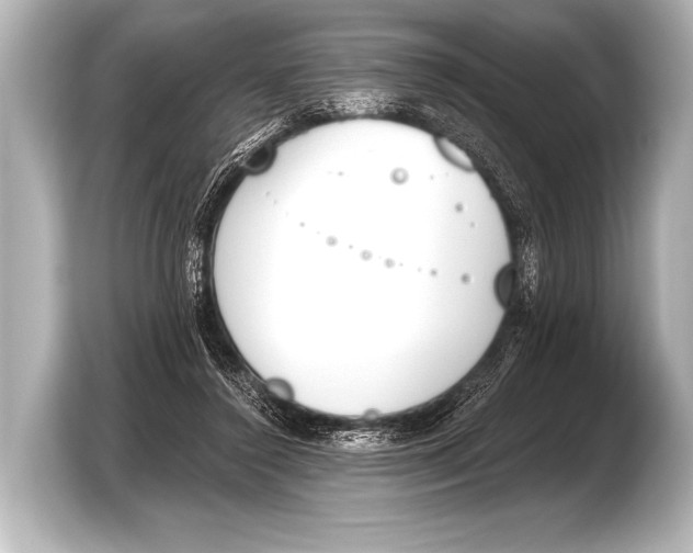 X0000103420356200810031335