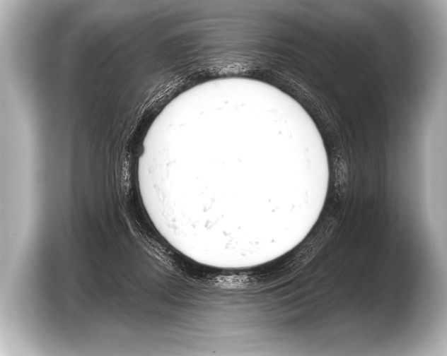 X0000103420362200810031335
