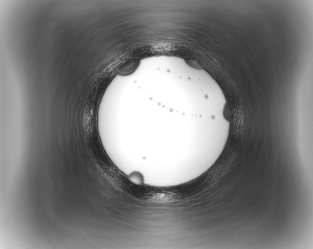 X0000103420364200810031335