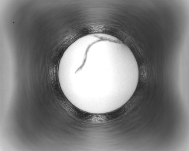 X0000103420369200810031335