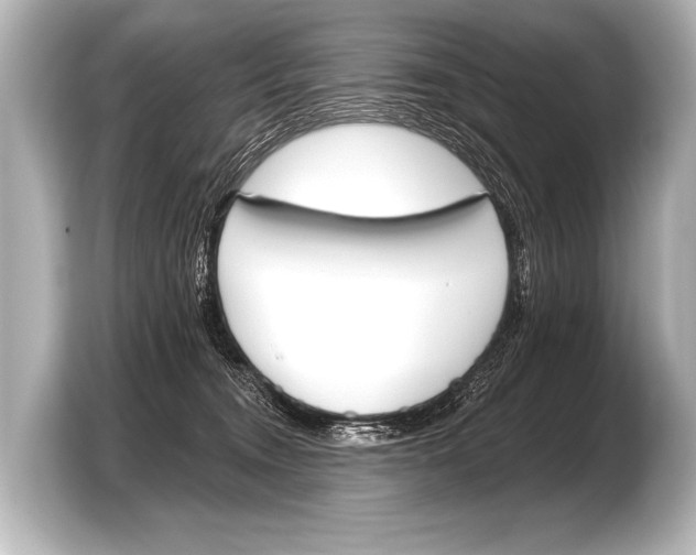 X0000103420372200810031335