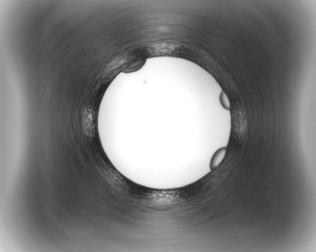 X0000103420378200810031336