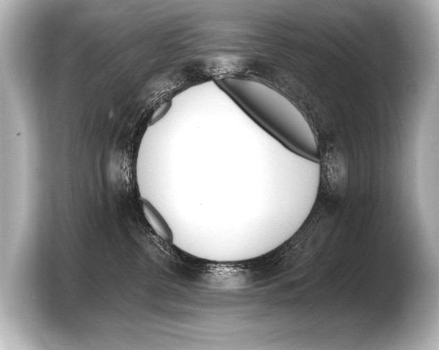 X0000103420380200810031336
