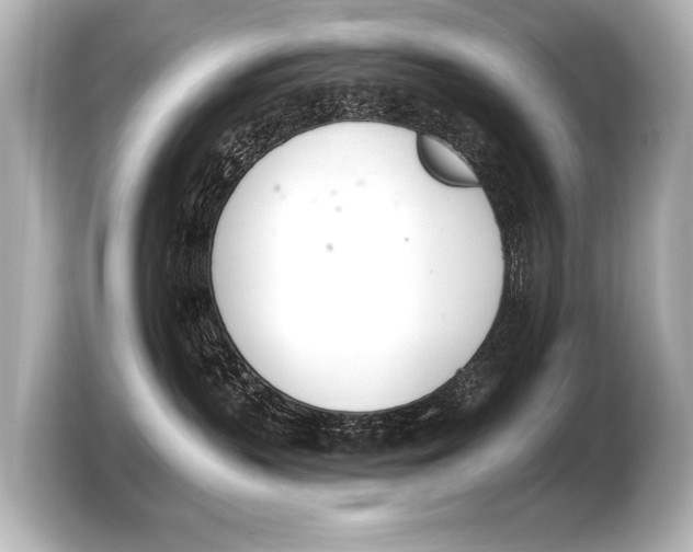 X0000103420383200810031336