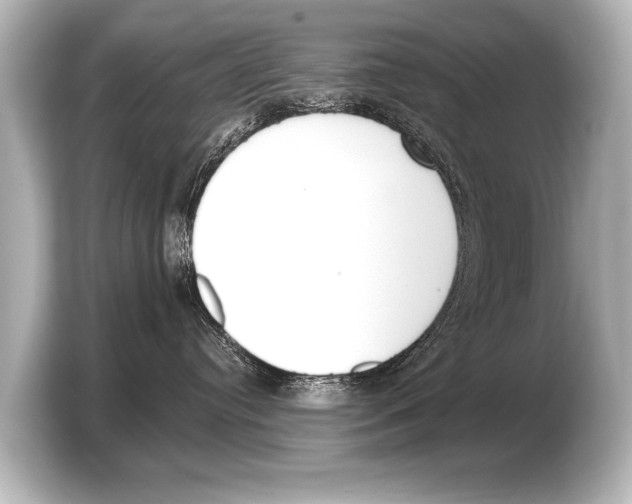 X0000103420384200810031336