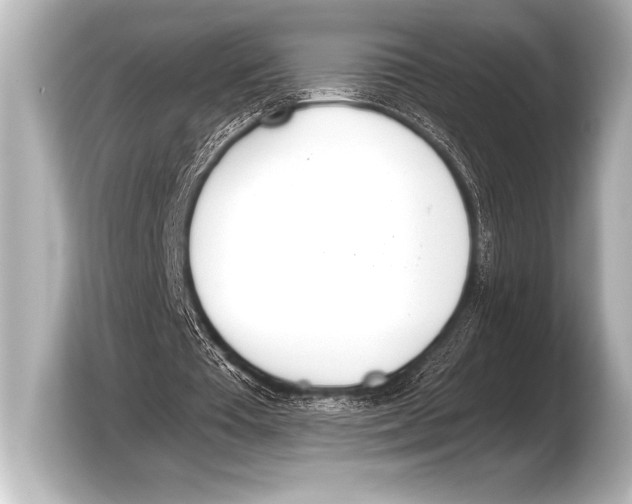 X0000103420385200810031335