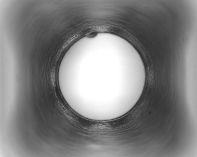 X0000103420386200810031335