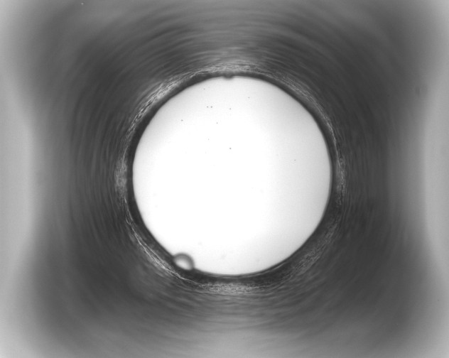 X0000103420389200810031335