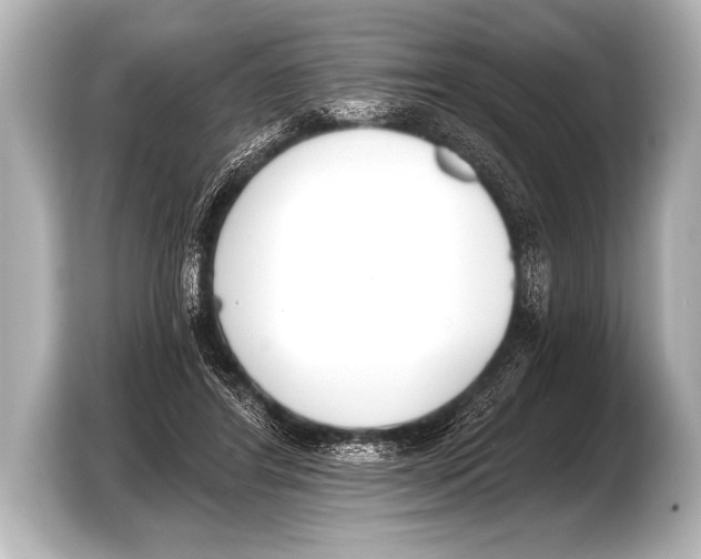 X0000103420404200810031335