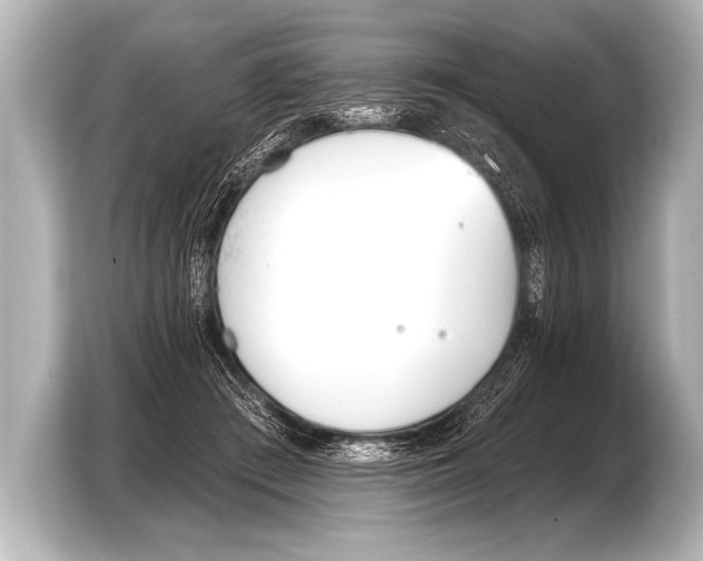 X0000103420409200810031335