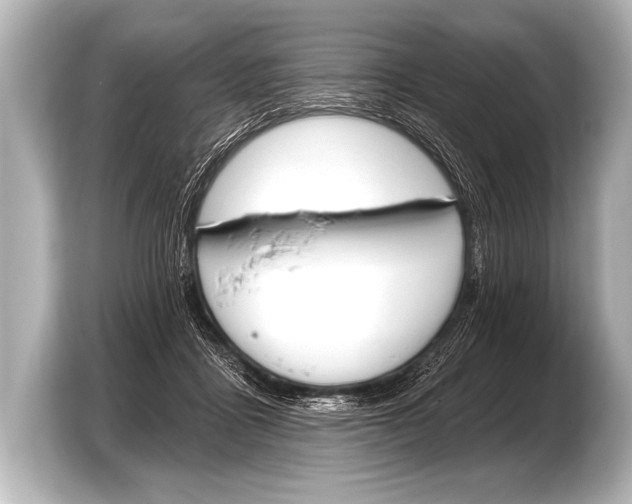 X0000103420411200810031335