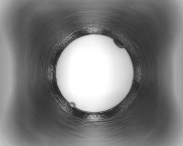 X0000103420413200810031335