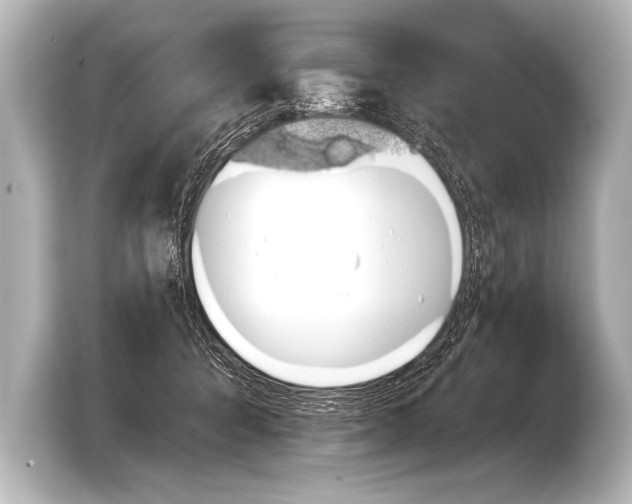 X0000103420415200810031335