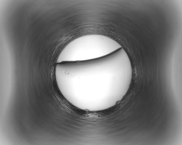X0000103420423200810031334