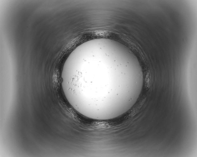 X0000103420424200810031334